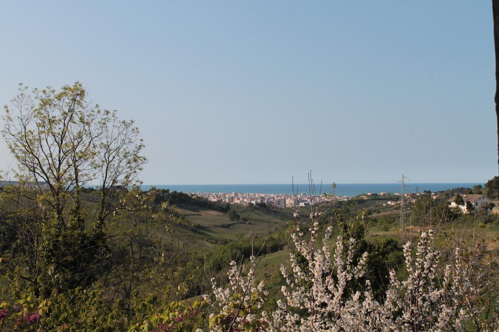 B&B Azzurra Pescara Exterior photo